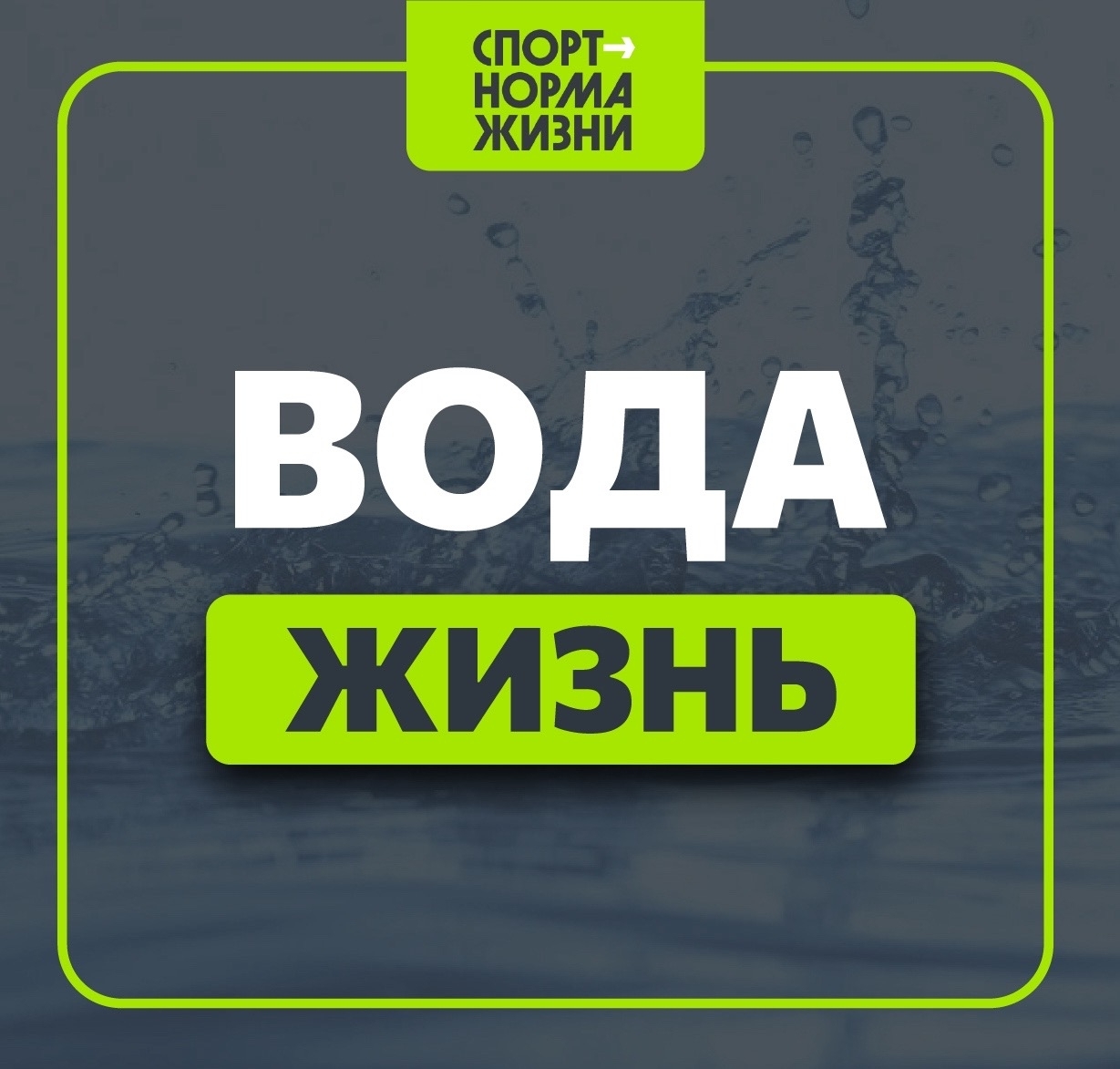 Движение ГТО. 💧 Вода — основа жизни 💧