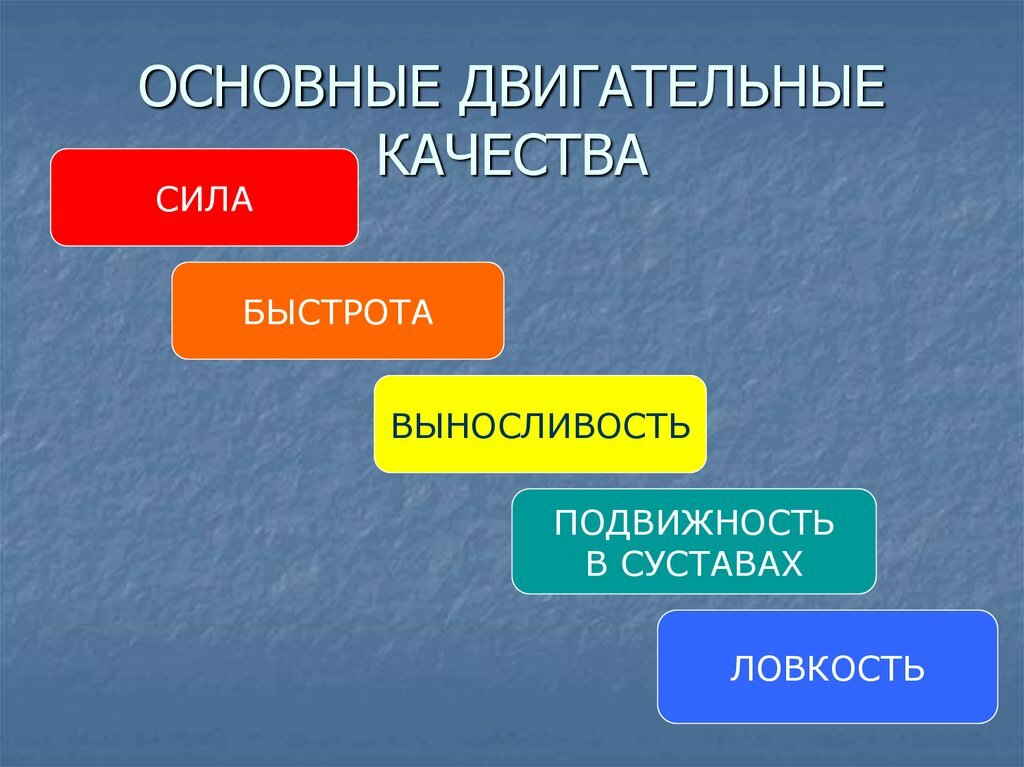 Движение ГТО. Физические качества человека 💪