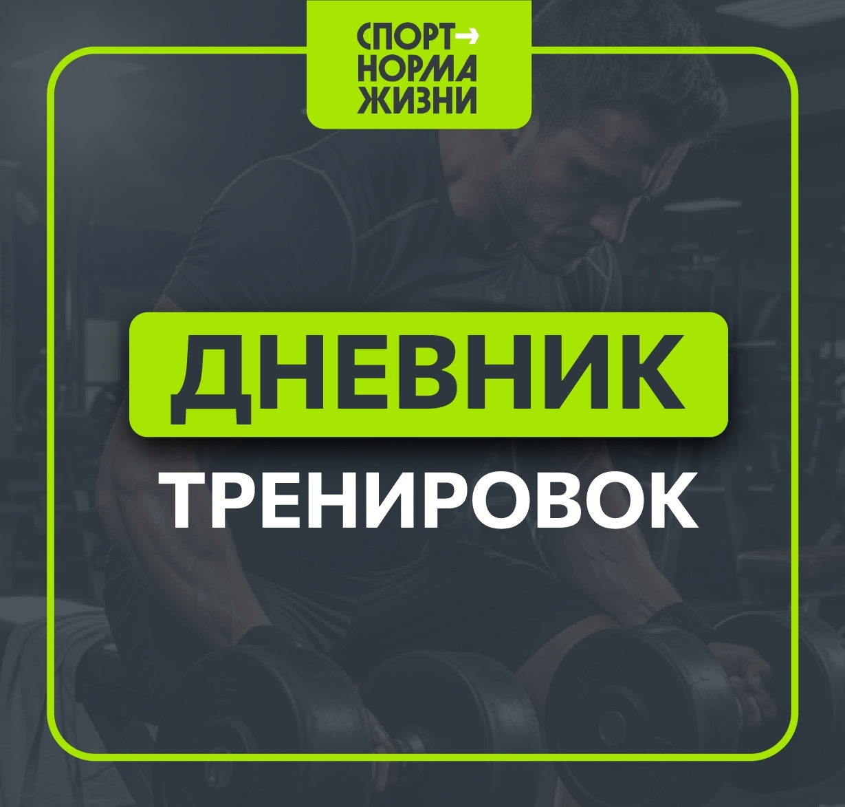 Лето с ГТО. Спорт и ГТО — норма жизни. Дневник тренировок