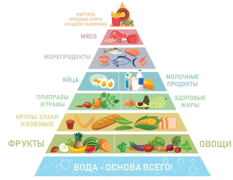 Здоровый образ жизни и ГТО. Как выстроить режим питания