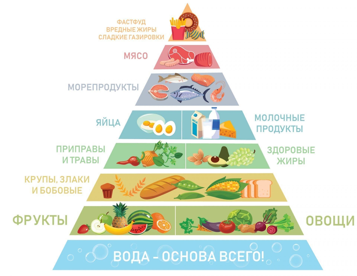 Здоровый образ жизни и ГТО. Как выстроить режим питания